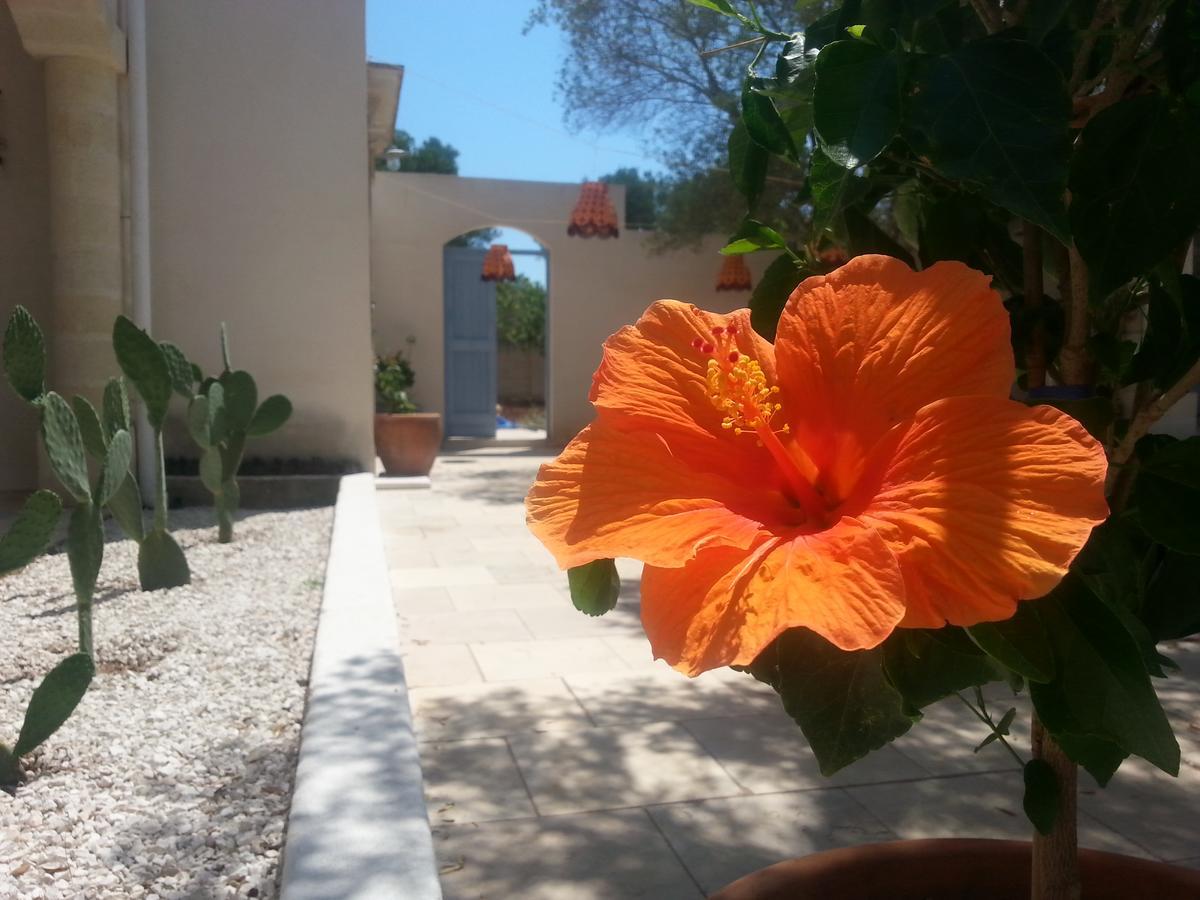 Bed and Breakfast The Proud Garden Carovigno Exteriér fotografie